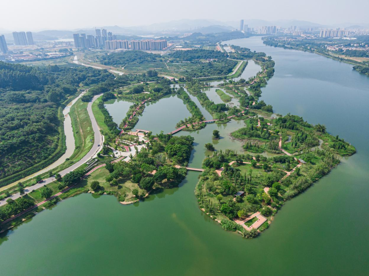 Down-to-earth: The Unique One in Guangzhou! GMC Zengjiang 