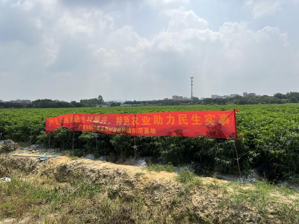 主題教育 | 廣州建築打造種(zhǒng)植示範基地，讓村民在家門口實現增收